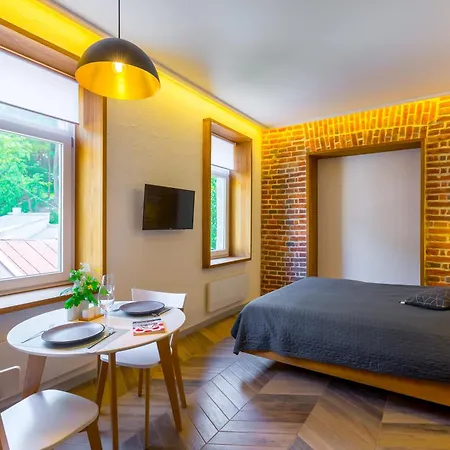 Brick & Soul Lviv Lil 아파트